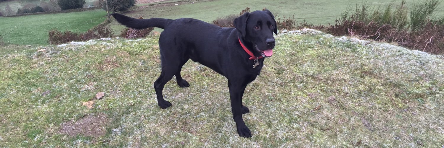 Neil Grainger banner