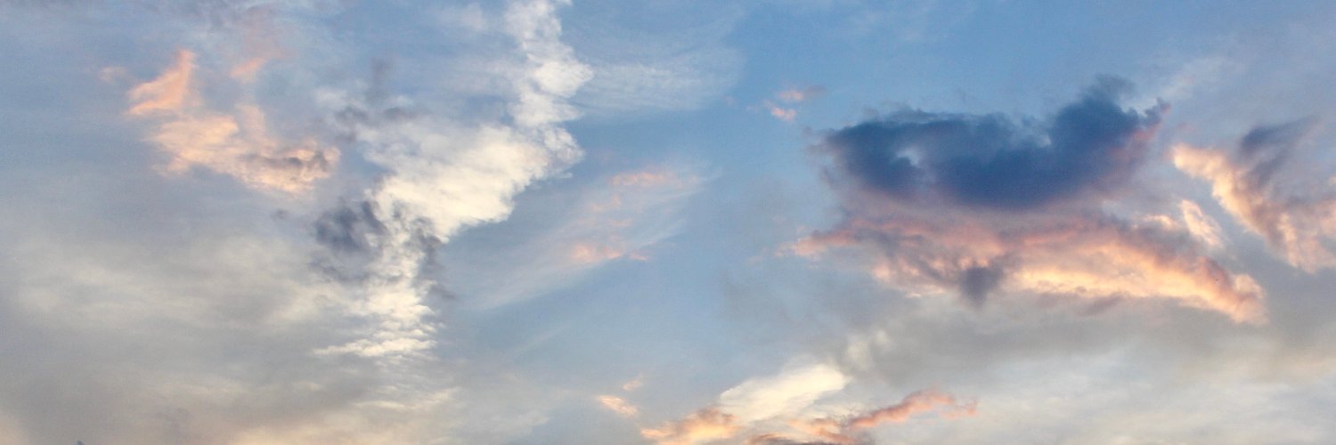 rrbuchholz's profile banner image