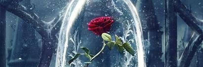 ibrahimalevli's profile banner image