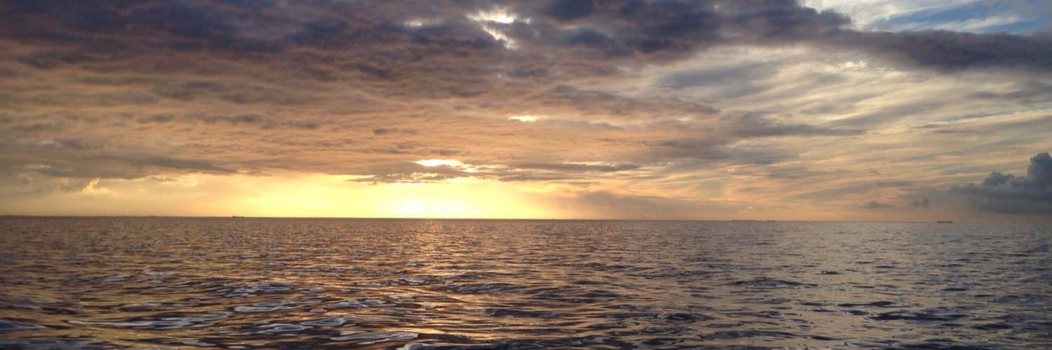 FHakvoort's profile banner image