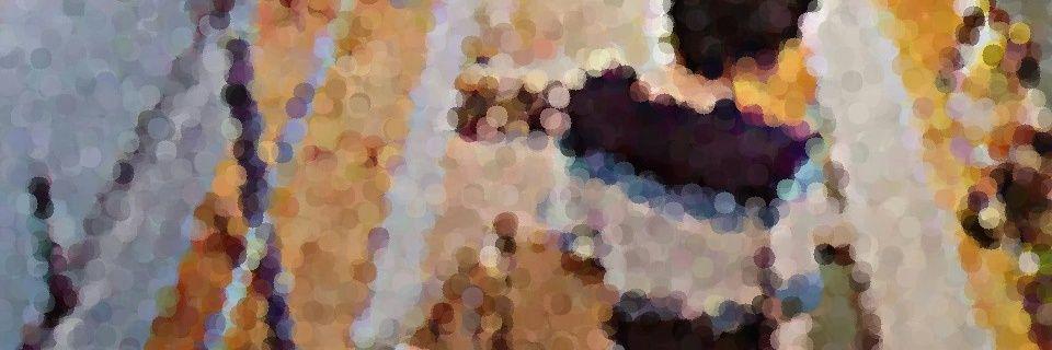 _0009377's profile banner image