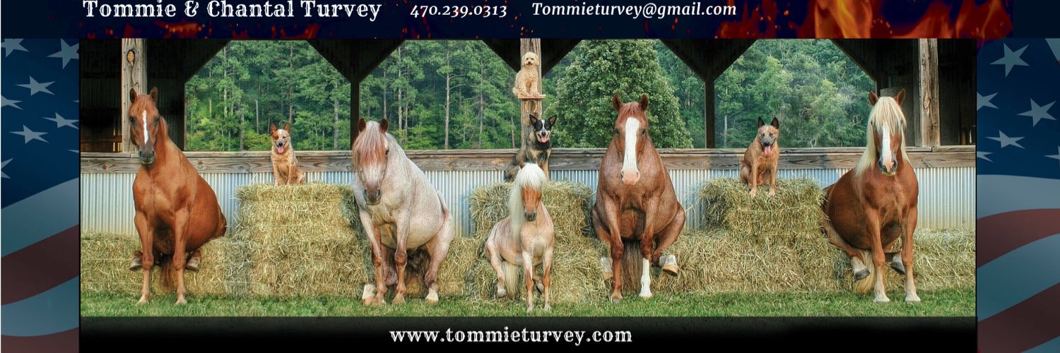 EquineExtremist's profile banner image