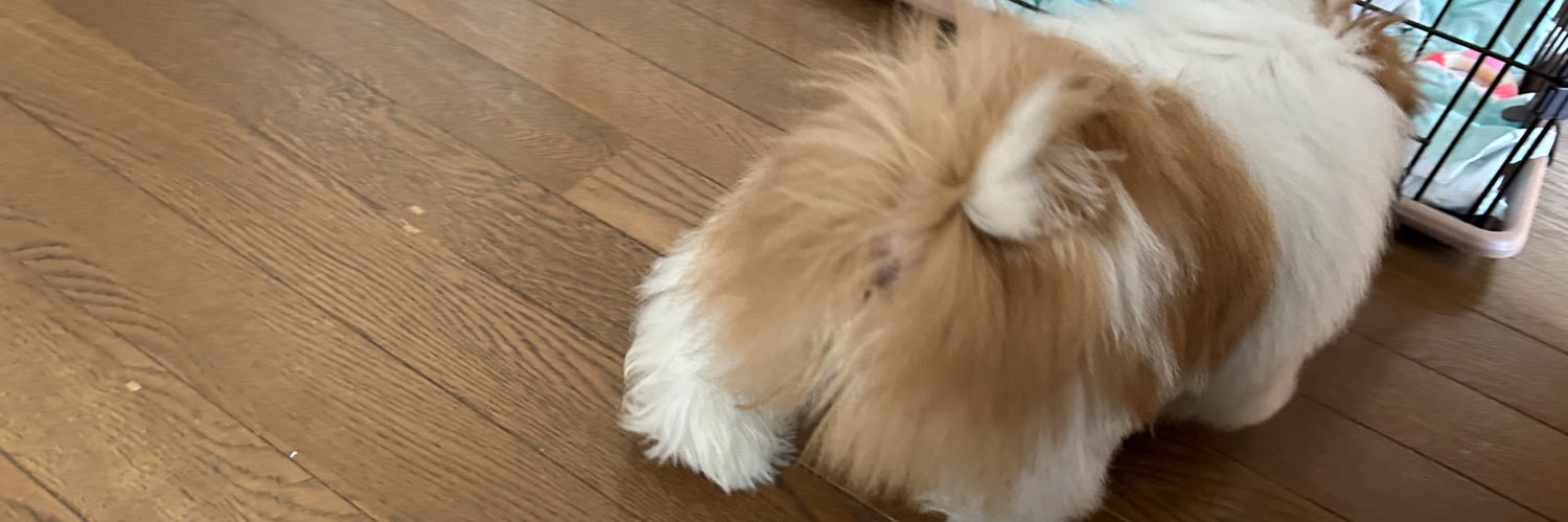 さだち banner
