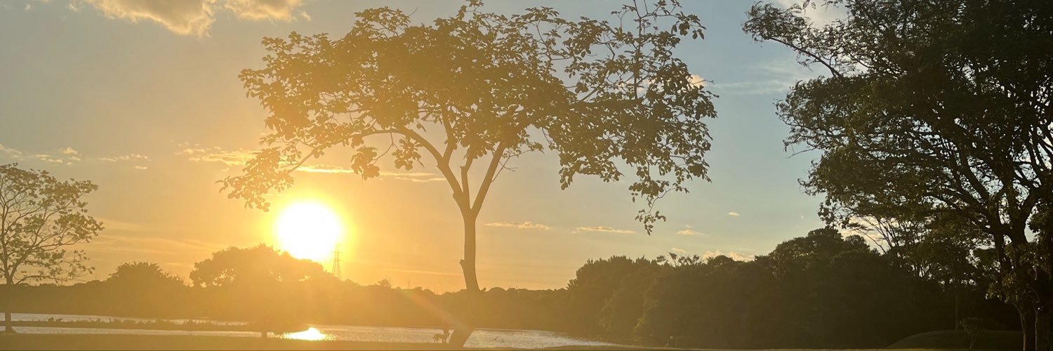 alinerbarb's profile banner image