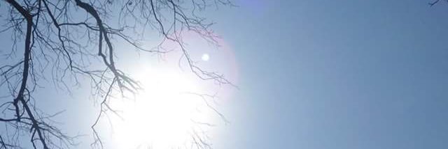 kylee_larson's profile banner image