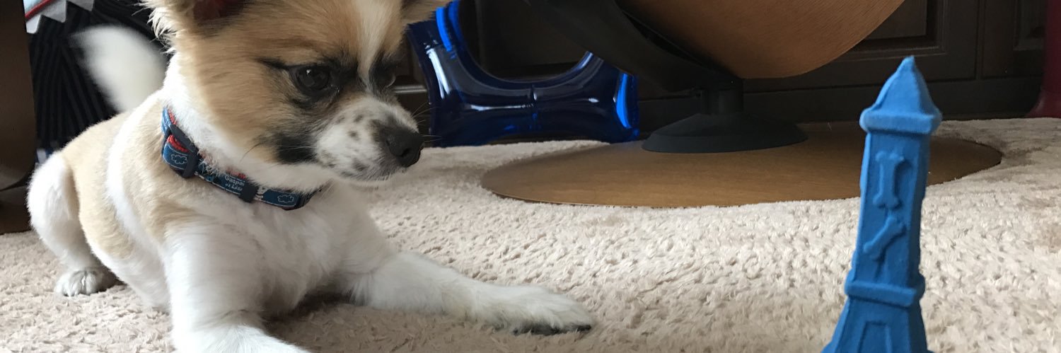 tktytkkyh's profile banner image