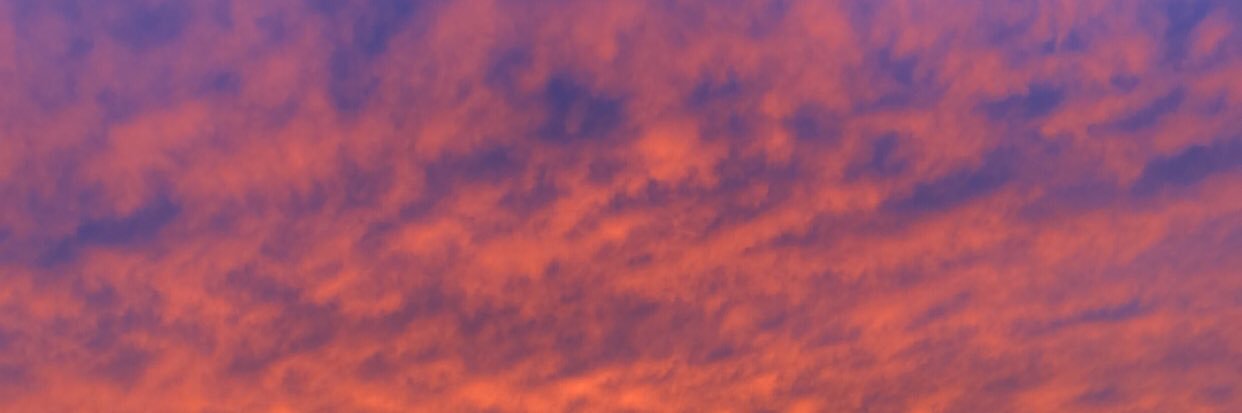 Lou_Bataille's profile banner image