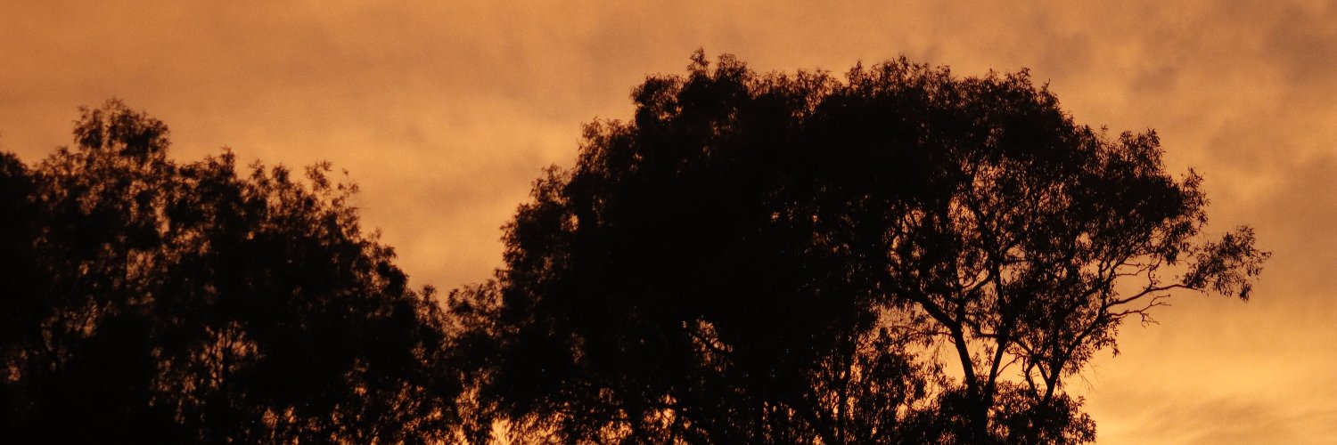 Cuetherain1's profile banner image