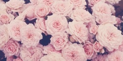 Loiskingox's profile banner image