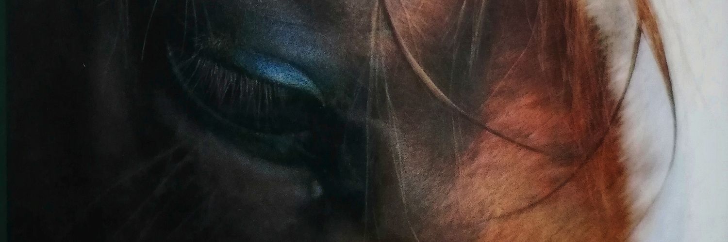 chanchiro0726's profile banner image