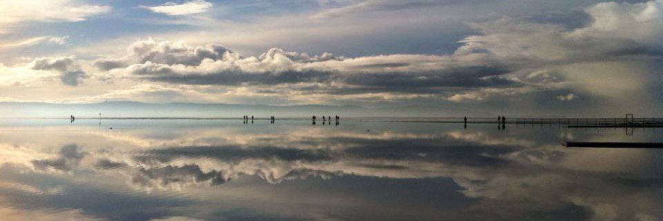 Merlyn Thomas banner