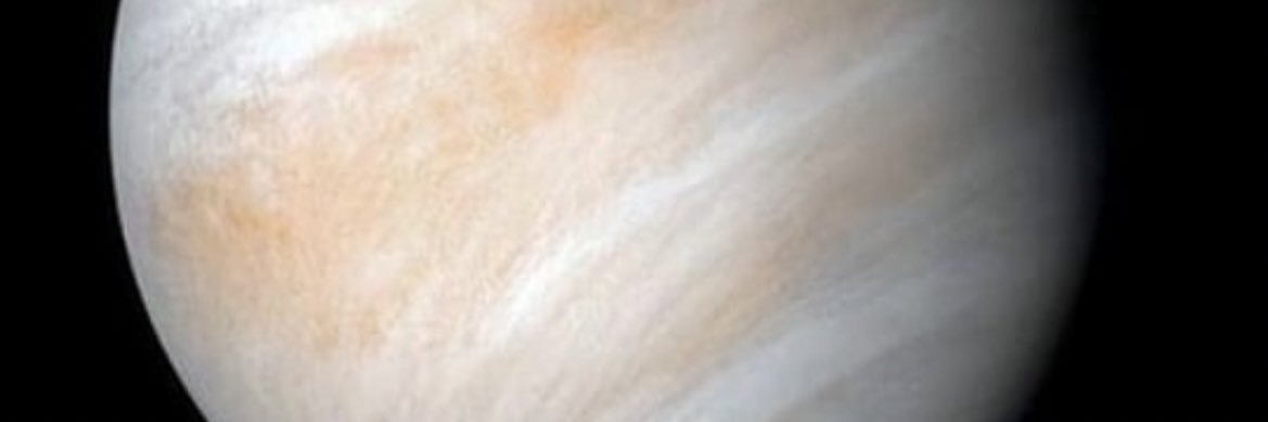 jucary_a's profile banner image