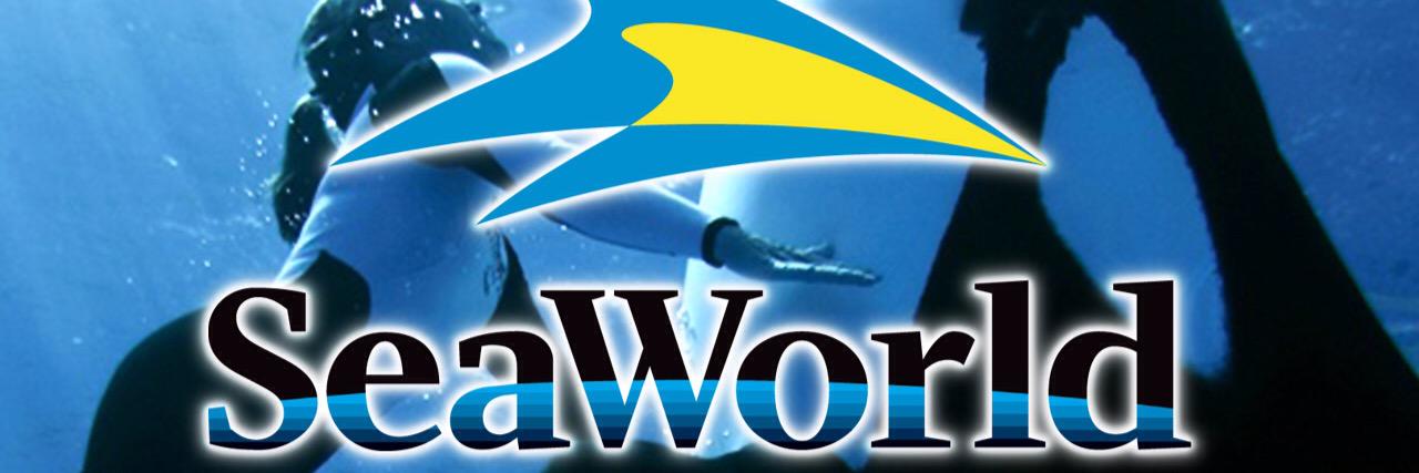 OSeaworld's profile banner image