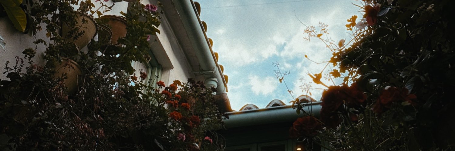 nvchx__'s profile banner image