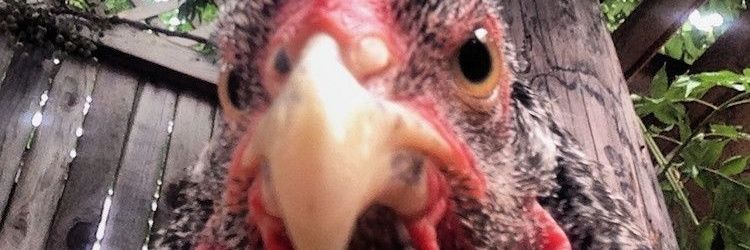 SergioTR_5's profile banner image