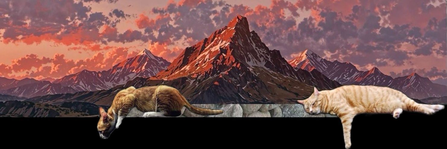 babushkakashi banner