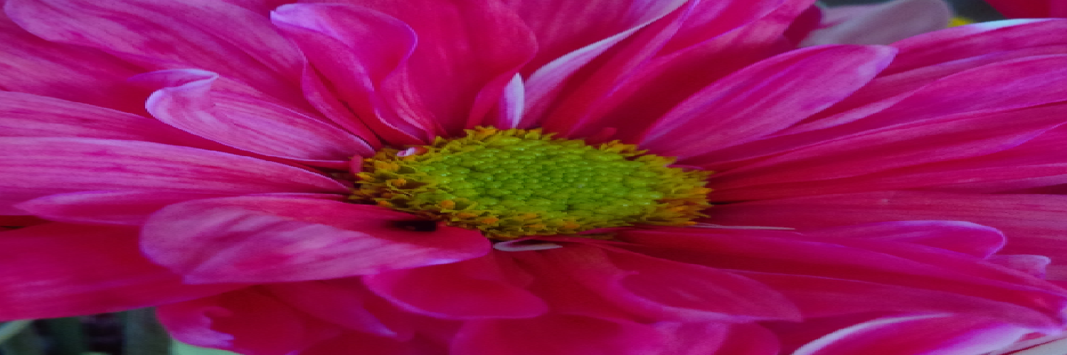 lodefaz's profile banner image