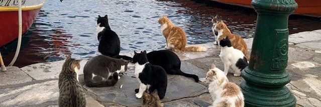 bxllshitx's profile banner image