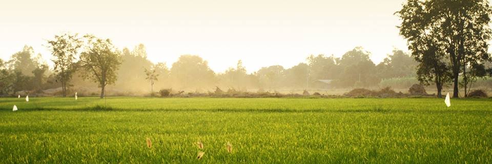 sanimfai's profile banner image