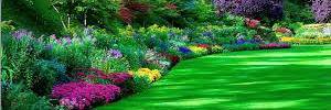 dharm777endra's profile banner image