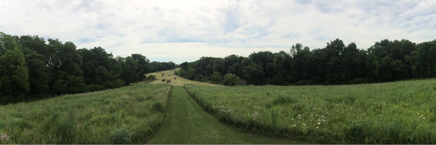 Alia Bluemlein banner