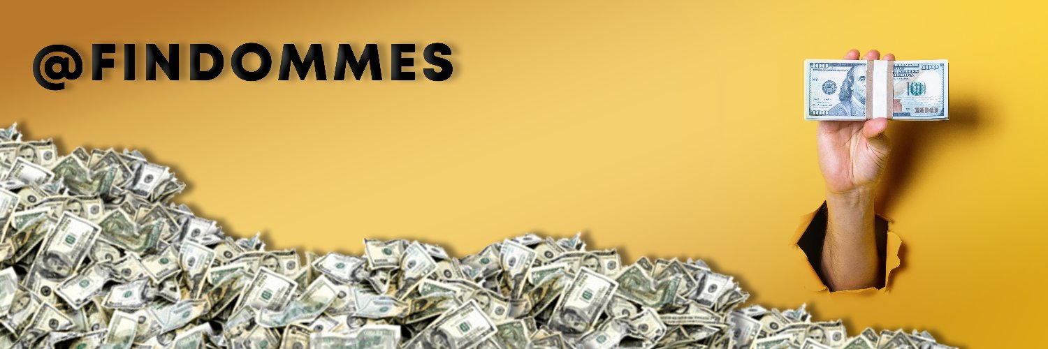 FinDom 的个人资料封面