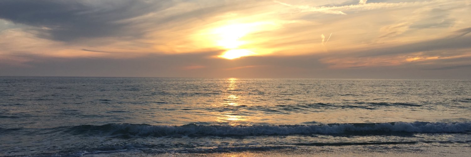 FinkeWormer's profile banner image