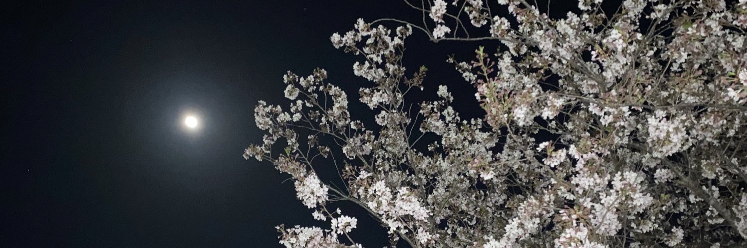 bb__ghost's profile banner image