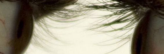 lenfanttrrible's profile banner image