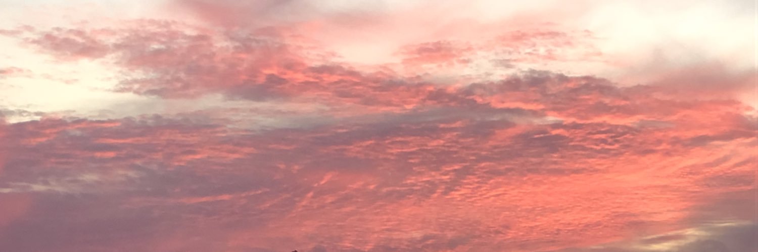 ElaniePo's profile banner image