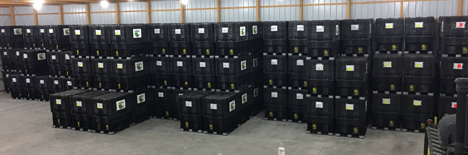 Condon Seed LLC banner