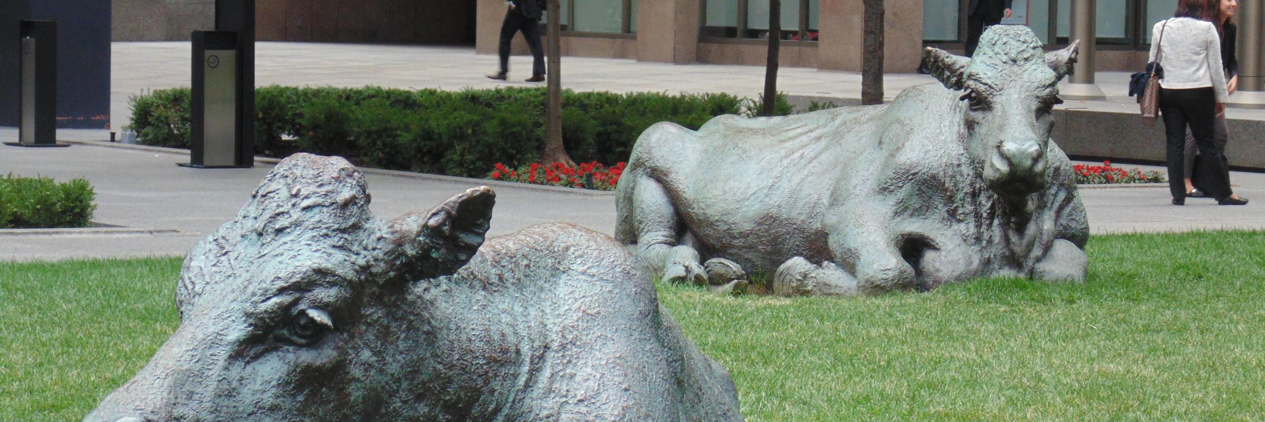 TOpublicart's profile banner image
