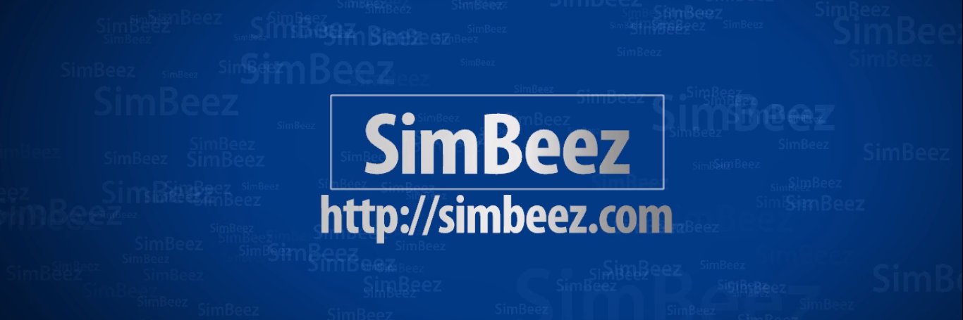SimBeez's profile banner image