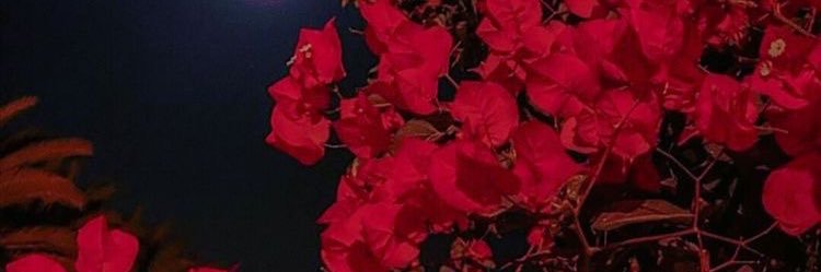 Gotta_A_Heart's profile banner image
