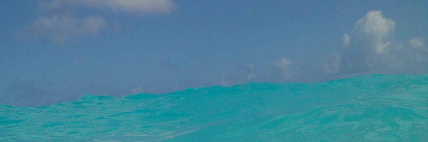 MilenaTorrey's profile banner image