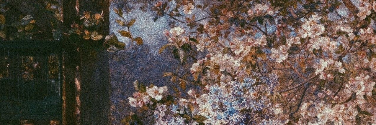 prettynutts's profile banner image