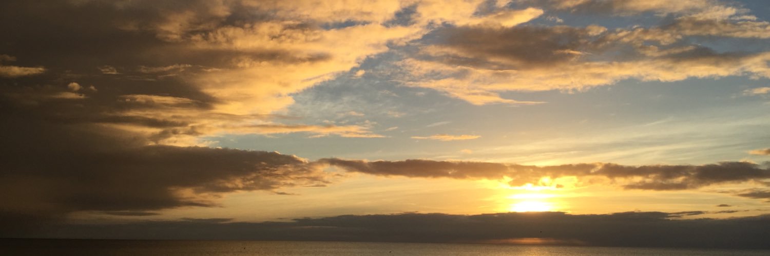 reguregu5050's profile banner image