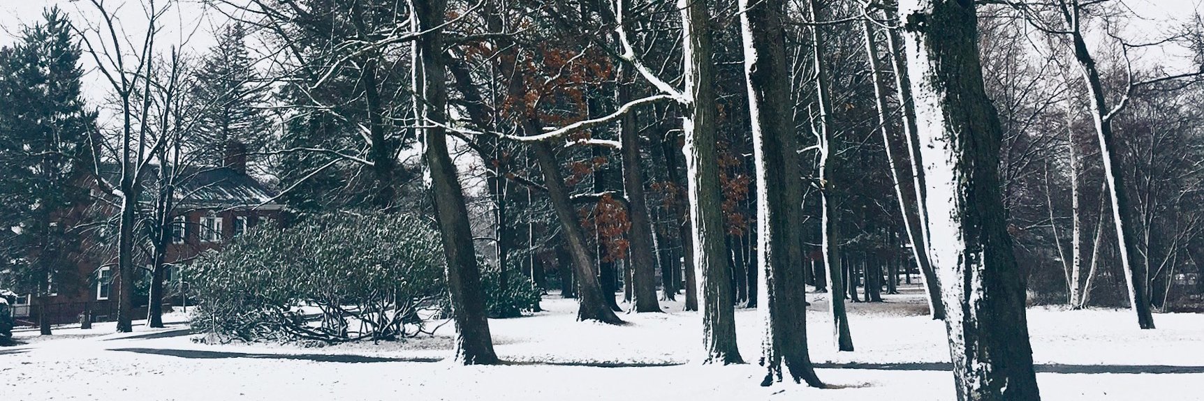 kellslovesjesus's profile banner image