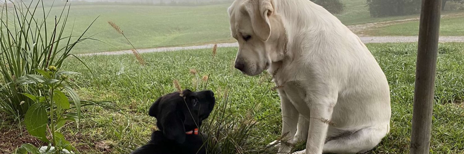 gallowayc22's profile banner image