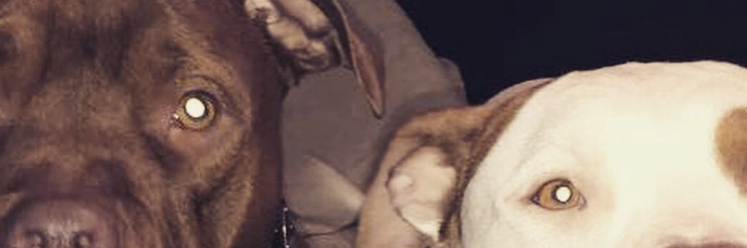 BigDaddyGlizzy banner