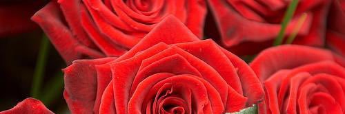 missdior1976's profile banner image