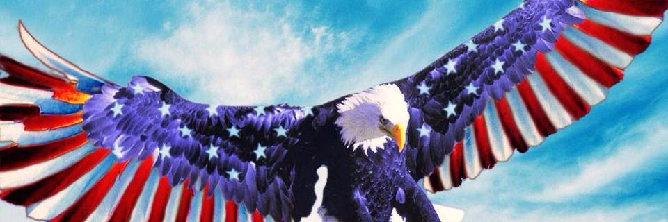 donnanrich1's profile banner image