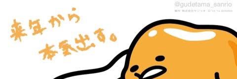 full79655315's profile banner image