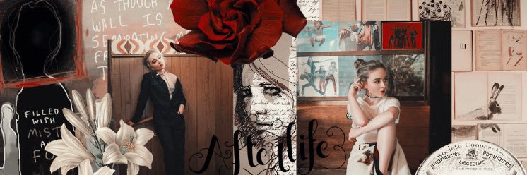 carpenbrev's profile banner image