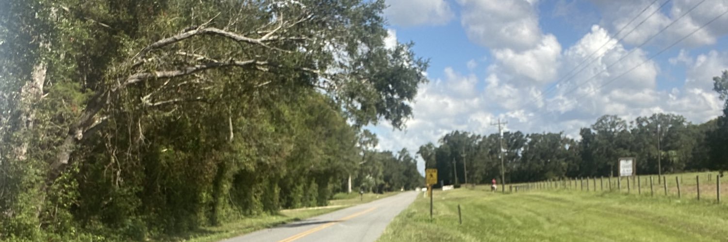 vickivanvan's profile banner image