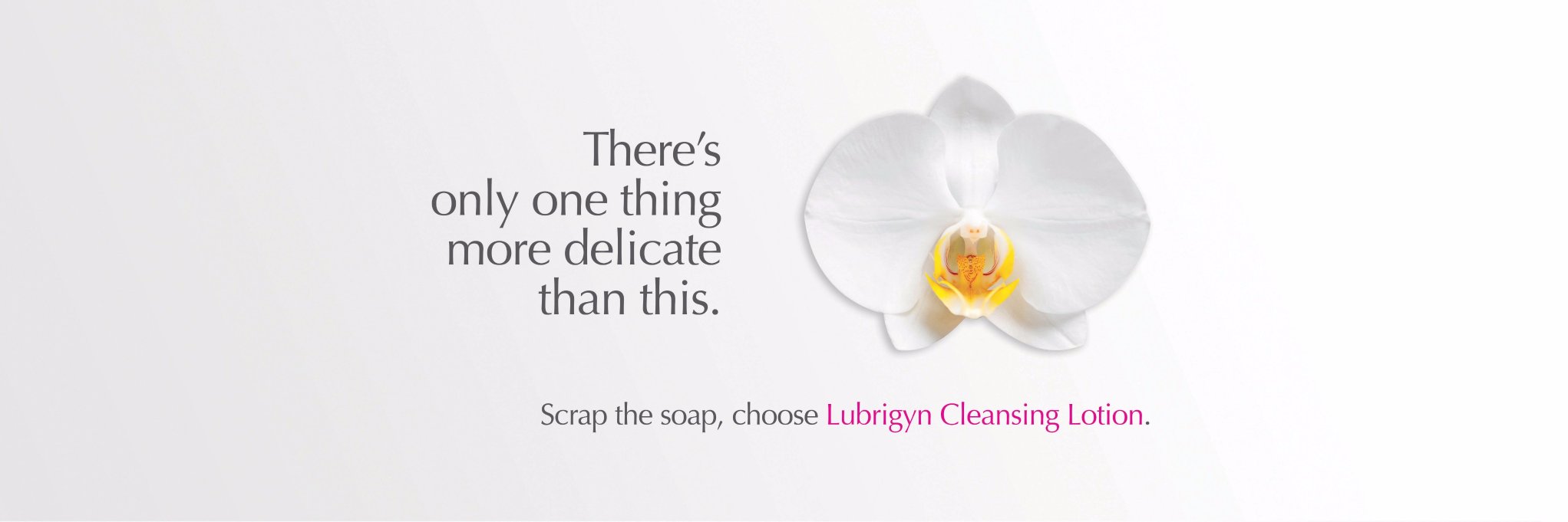 Lubrigyn's profile banner image