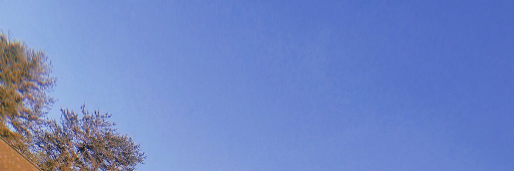 marawilsonnn's profile banner image