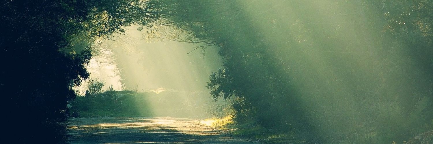 Steven Phoenix banner
