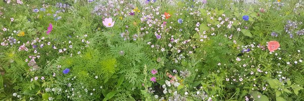 MagdaleneStosik Profile Banner