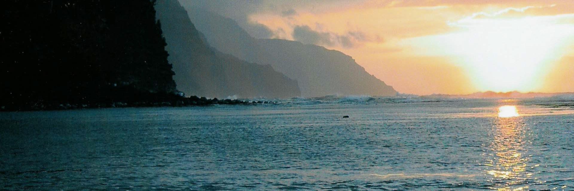 MarciaAwobuluyi's profile banner image